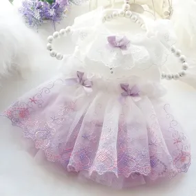 DIVA Pet- "Suzanne" Lace Party Dress