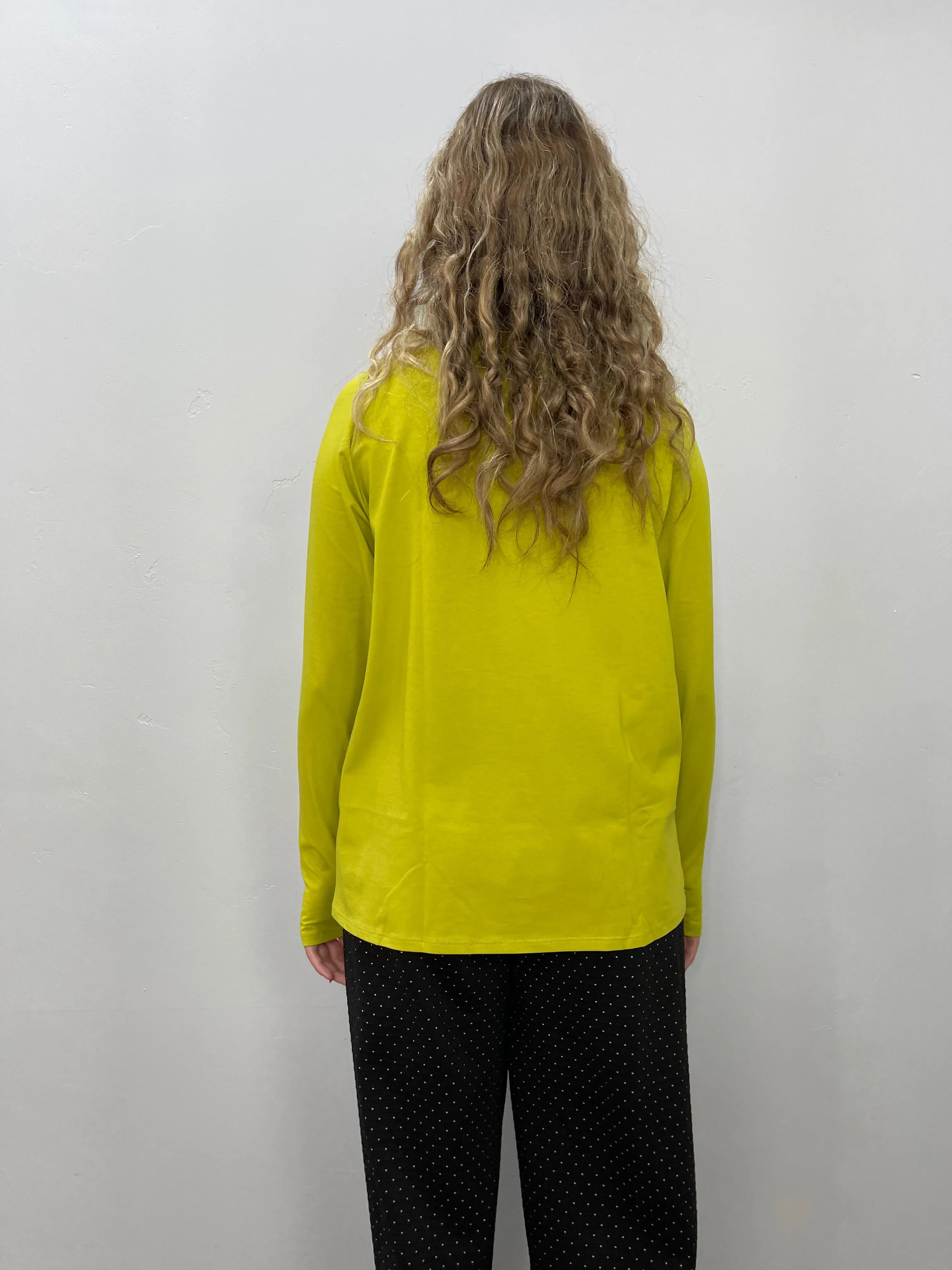 Pistachio Green Long Sleeve Turtle Neck